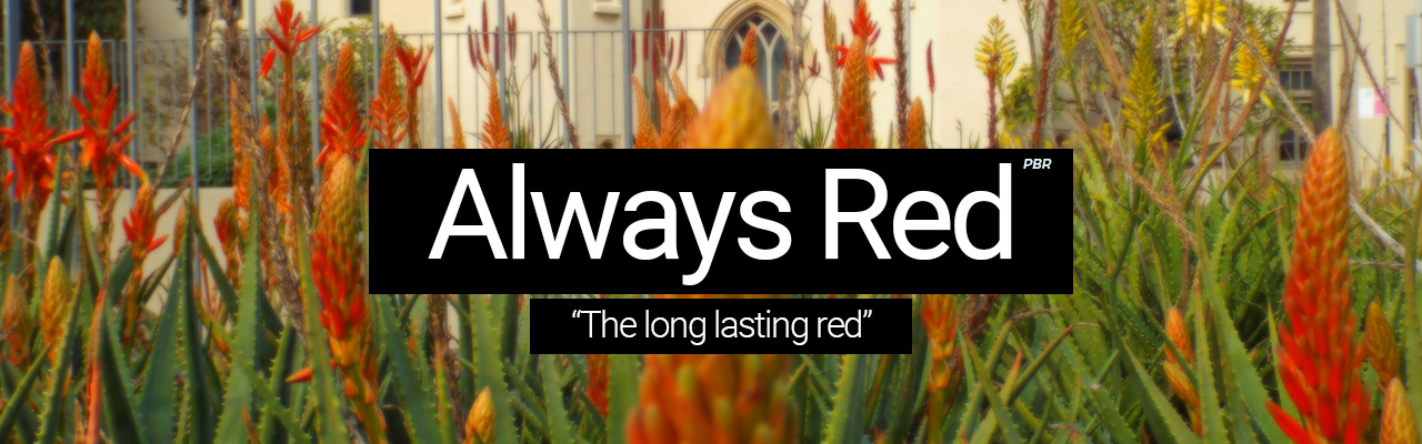 Artboard 1 Always Red - The long lasting red