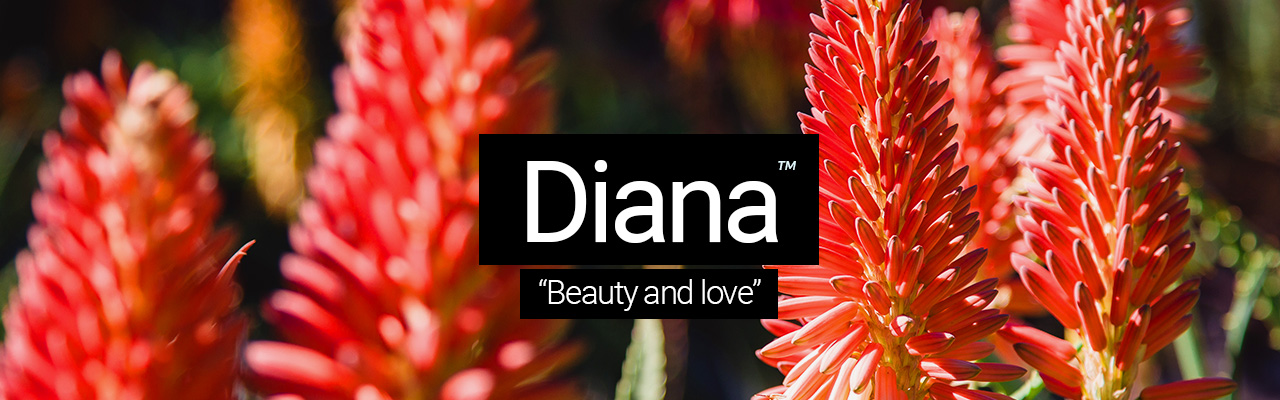 Artboard 10 Diana - Beauty and love