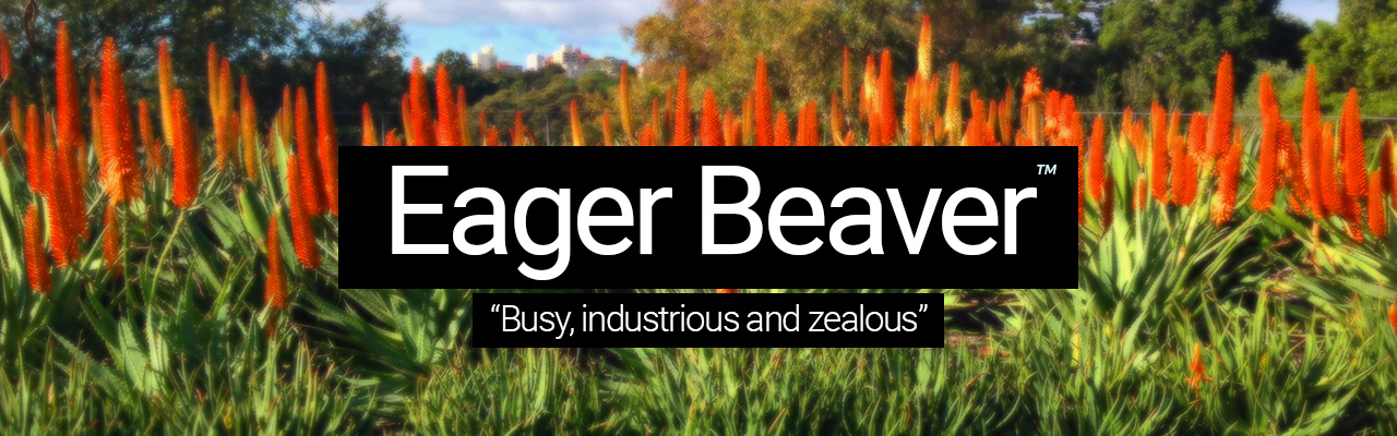 Artboard 11 Eager Beaver - Busy, industrious and zealous