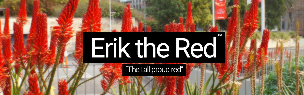 Artboard 13 Erik the Red - The tall proud red