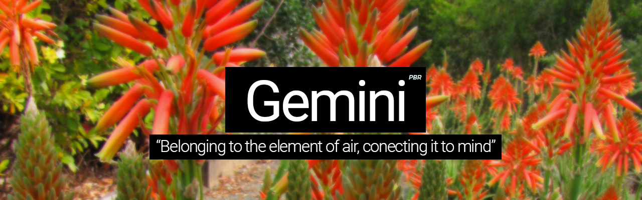 Artboard 17 Gemini - Belonging to the element of air, connecting it to mind