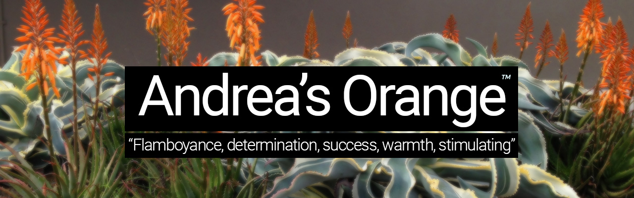Artboard 2 Andreas Orange - Flamboyance, determination, success, warmth, stimulating
