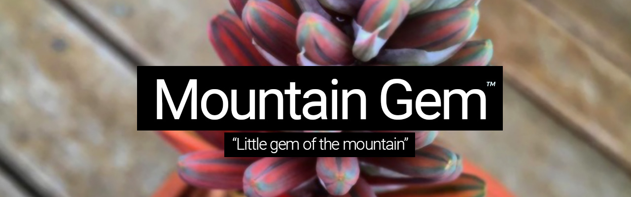 Artboard 21 Mountain Gem - Little gem of the mountain