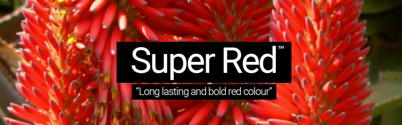 Artboard 29 Super Red - Long lasting and bold red colour