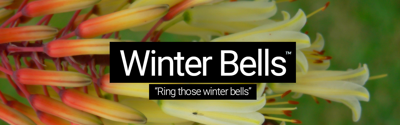 Artboard 34 Winter Bells - Ring those winter bells