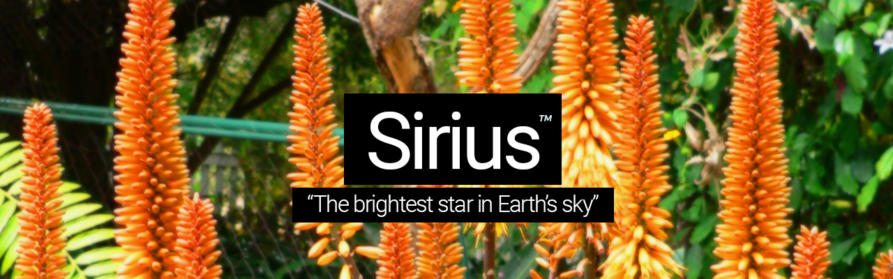Artboard 35 Sirius - The brightest star in Earths sky