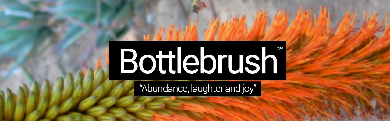 Artboard 5 Bottlebrush - Abundance, laughter and joy