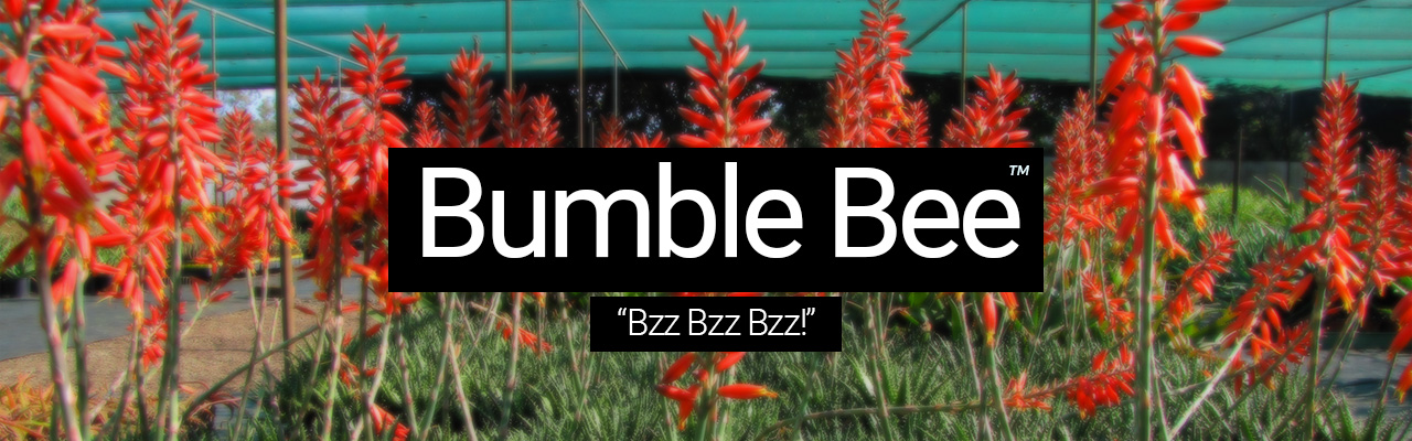 Artboard 6 Bumble Bee - Bzz Bzz Bzz