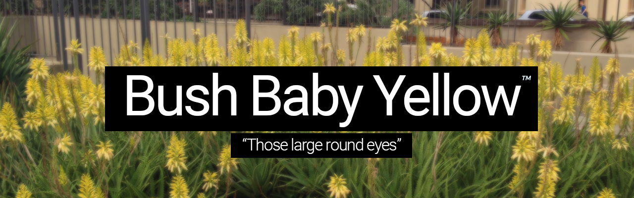 Artboard 7 Bush Baby Yellow - Those large round eyes