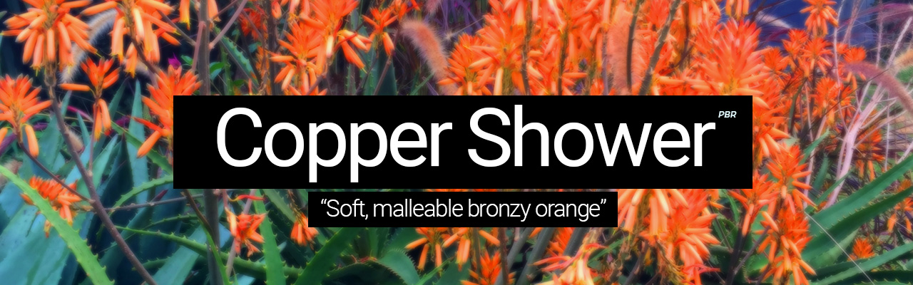 Artboard 9 Copper Shower - Soft, malleable bronzy orange